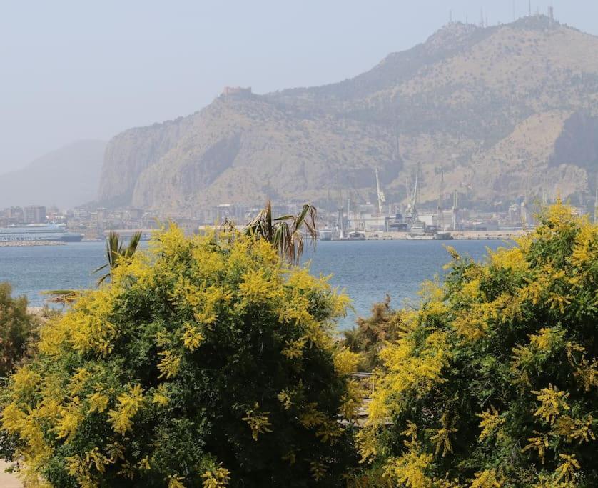 Nicare City Apartments Παλέρμο Εξωτερικό φωτογραφία